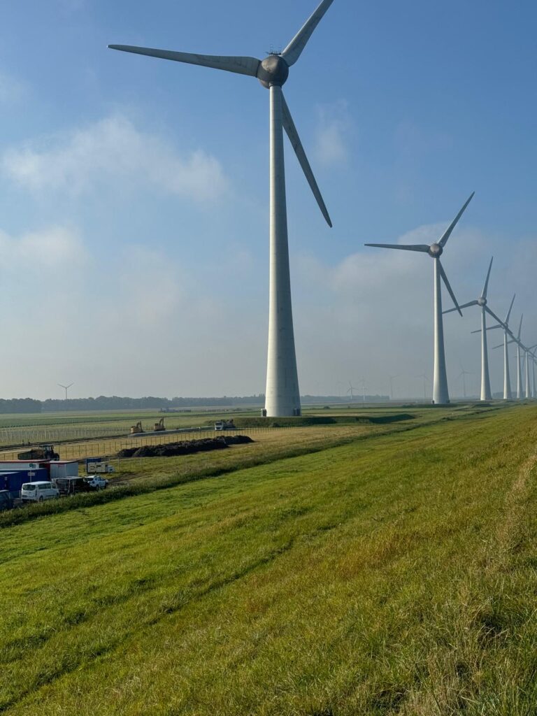 WhatsApp Image 2025-05-07 at 20.59.356